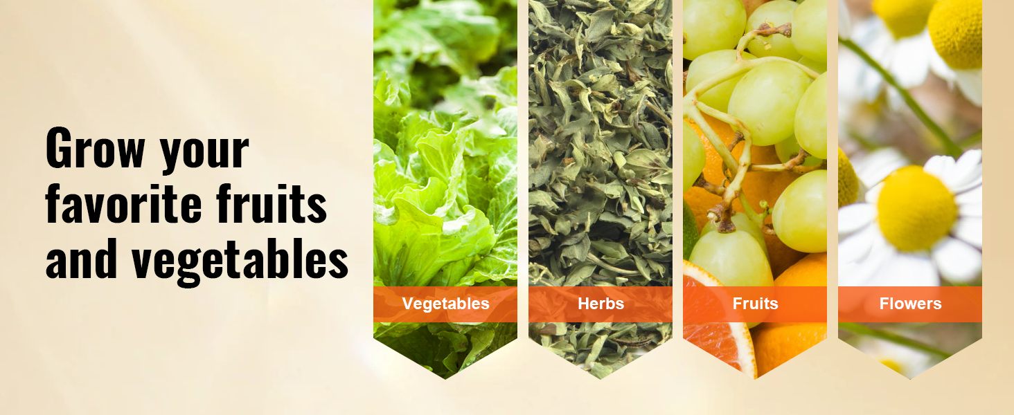 grow vegetables, herbs, fruits, and flowers with VEVOR raised garden bed.