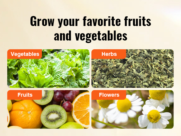 grow your favorite fruits, vegetables, herbs, and flowers with a VEVOR garden bed.