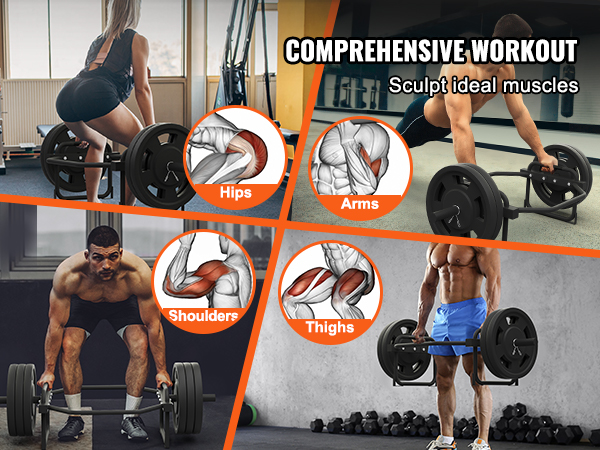 comprehensive workout for sculpting muscles with VEVOR olympic trap bar focusing on arms, hips, shoulders, and thighs.