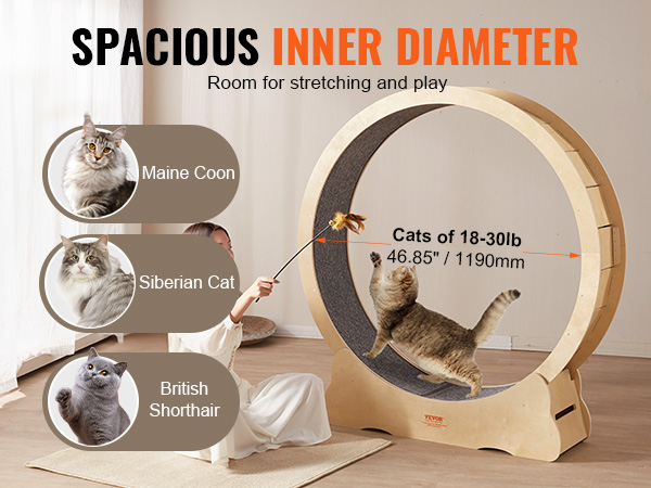 VEVOR cat exercise wheel with spacious inner diameter for maine coon, siberian cat, british shorthair.