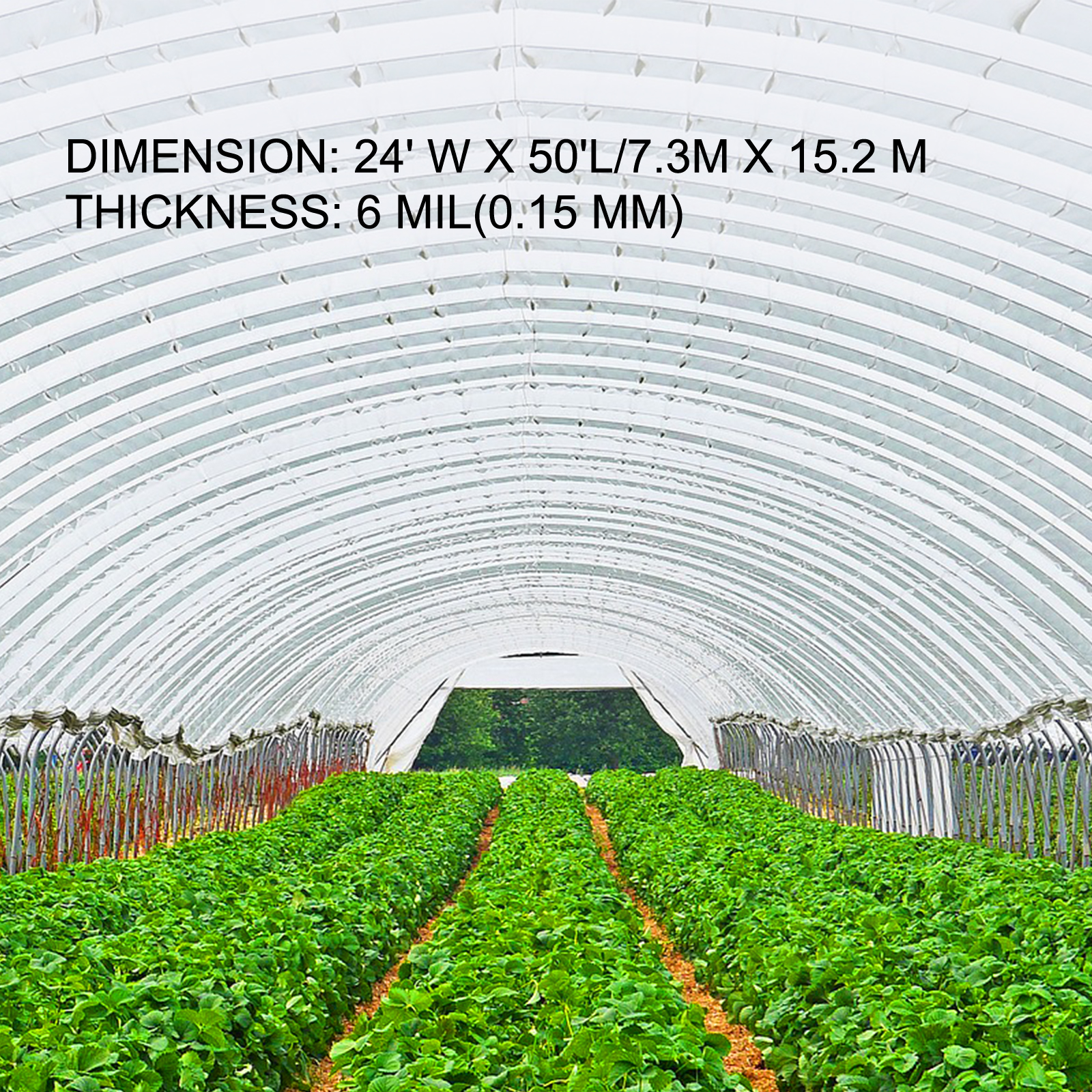 VEVOR greenhouse film covering an arched greenhouse with lush green plants inside.