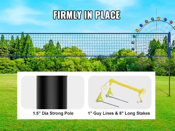 VEVOR volleyball net system set up on a grassy field with clear blue sky and ferris wheel in the background.