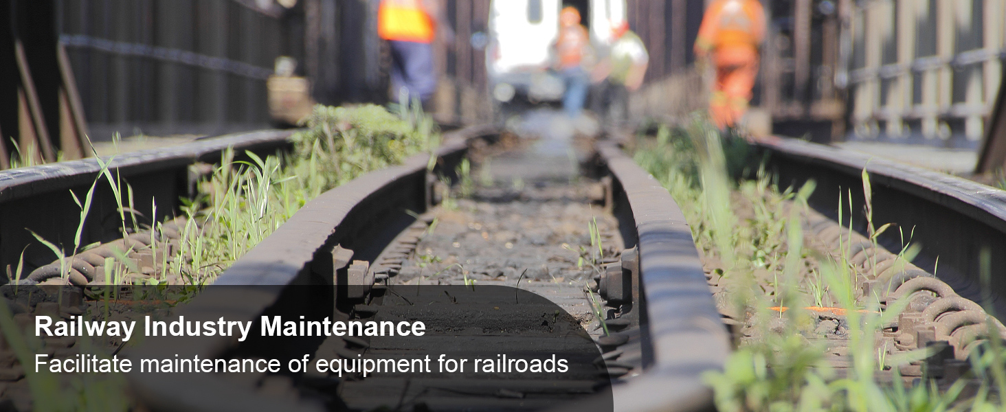 Dzelzceļa nozares darbinieki, kas veic sliežu ceļu apkopi ar aizaugušu zāli un izplūdušu vilcienu fonā