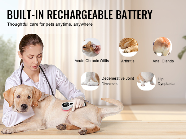 vet using VEVOR red light therapy device on a labrador, treating chronic conditions, with six condition icons.