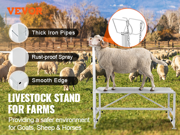 VEVOR livestock stand showcasing thick iron pipes, rust-proof spray, and smooth edges for farms.