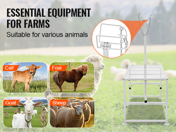 VEVOR livestock stand showcasing goats, sheep, calves, and foals on a farm with green pastures.