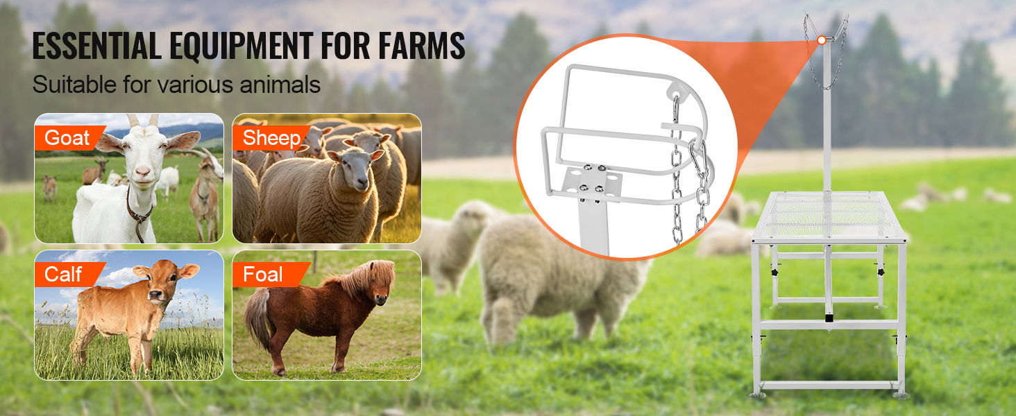 VEVOR livestock stand showcasing goats, sheep, calves, and foals on a farm with green pastures.