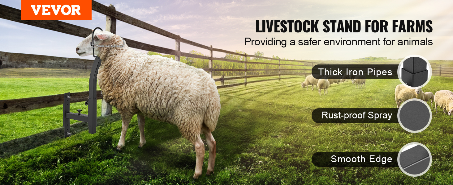 VEVOR livestock trimming stand in a farm field with sheep, highlighting thick iron pipes, rust-proof spray, and smooth edge.