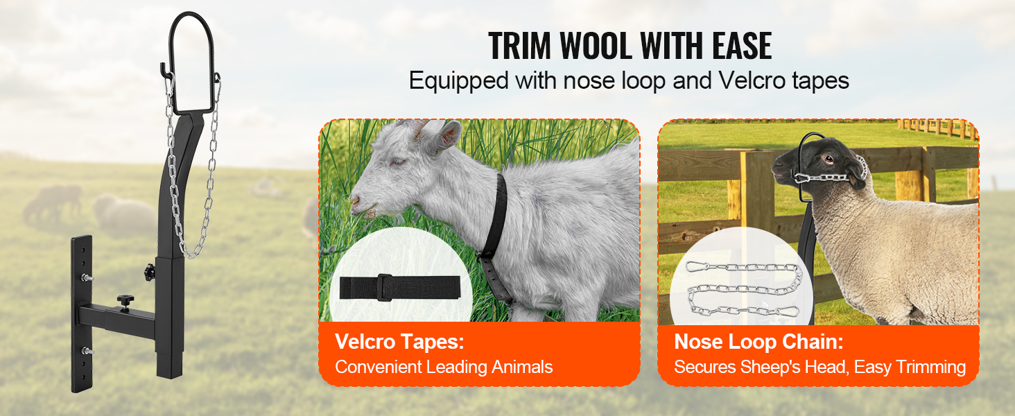 trim wool easily with the VEVOR livestock trimming stand, featuring a nose loop chain and velcro tapes.