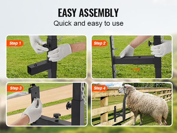 easy assembly steps for the VEVOR livestock trimming stand, featuring a sheep and sturdy construction.