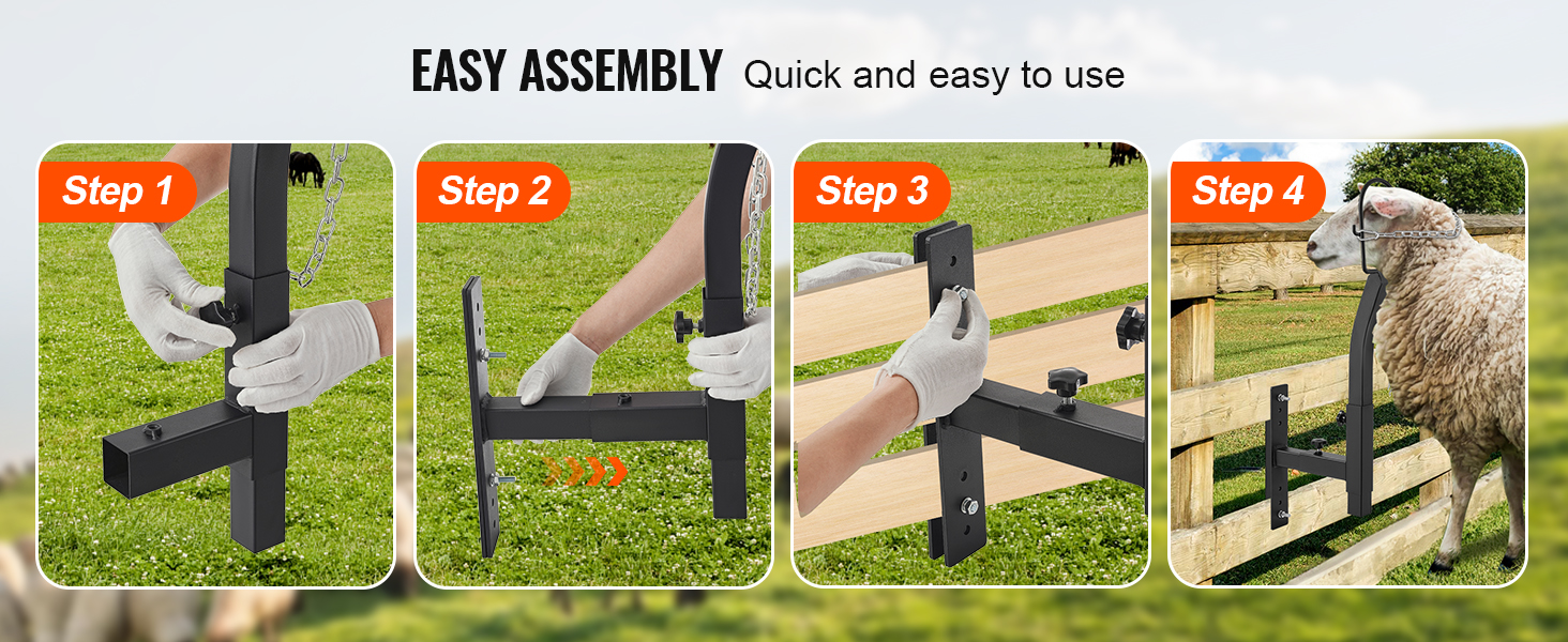 easy assembly steps for the VEVOR livestock trimming stand, featuring a sheep and sturdy construction.