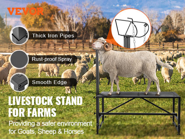 VEVOR goat & sheep stand: thick iron pipes, rust-proof spray, smooth edge, sheep in the background.