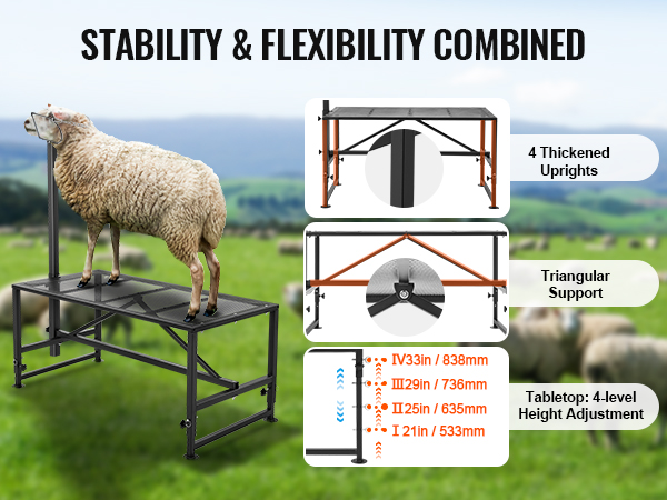 VEVOR goat & sheep stand with 4 thickened uprights, triangular support, and 4-level height adjustment.