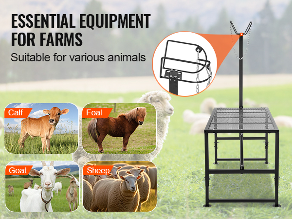 essential farm equipment for goat, sheep, calf, and foal, featuring the VEVOR goat & sheep stand.