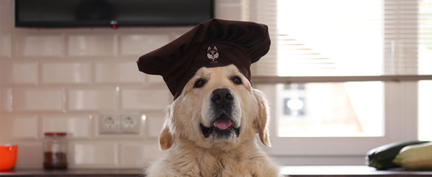 golden retriever in a chef hat in a bright kitchen. perfect for VEVOR hat heat press promotion.