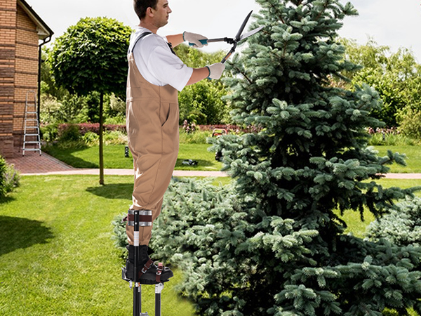 садовник использует сваи из гипсокартона VEVOR для обрезки высокого дерева на ухоженном заднем дворе.