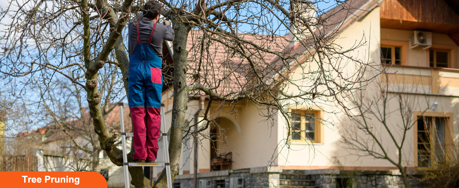 isik pügamine puu, mille VEVOR teleskoopsilindrit redel on aed maja taustal.