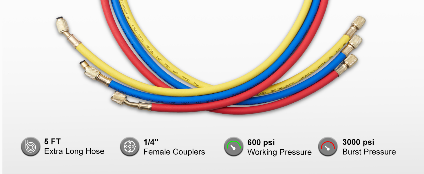 VEVOR ac indikatorius rinkinys su 5 pėdų ilgio žarnos, 1/4" female sankabos, 600 psi darbinis slėgis, 3000 psi sprogo.