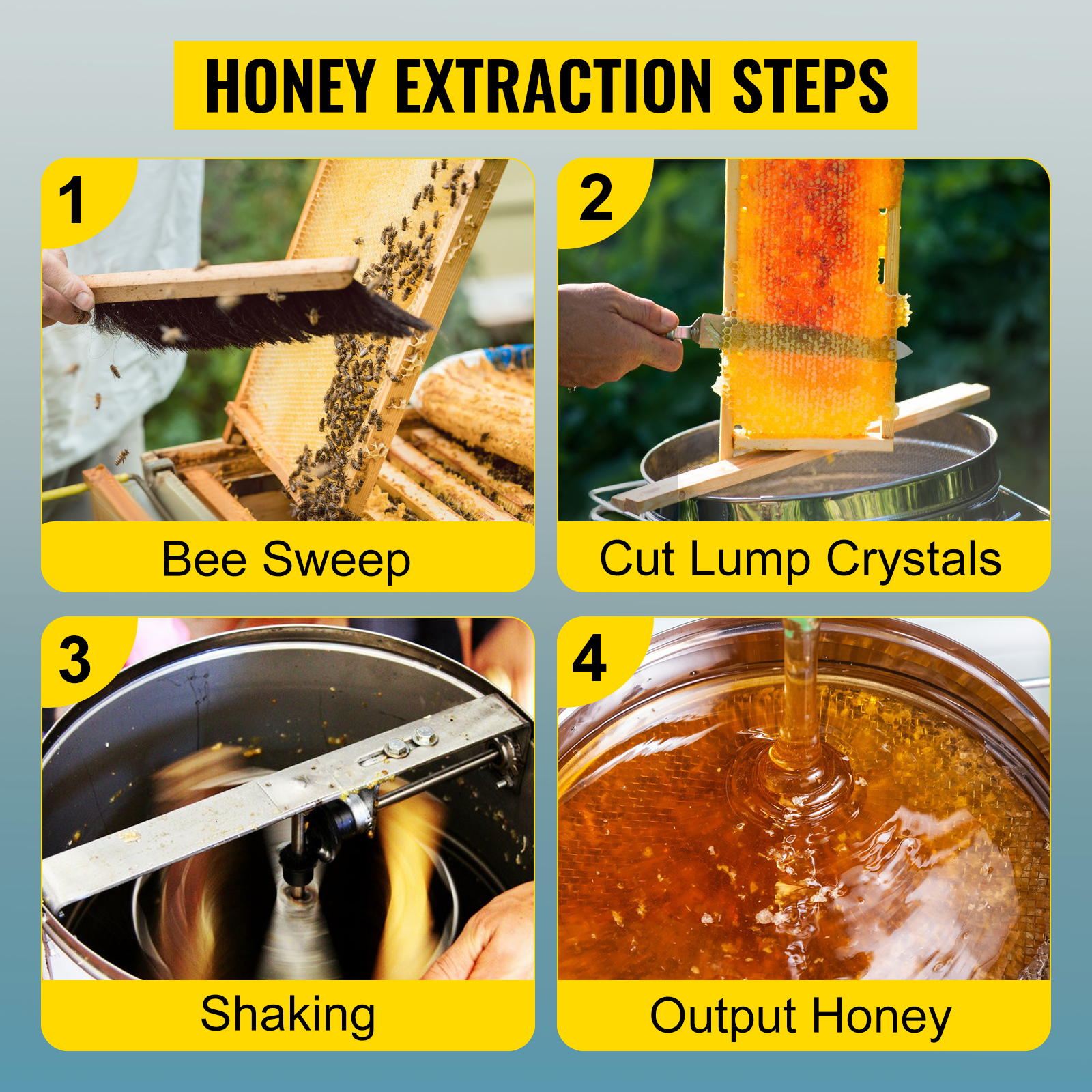 honey extraction steps: bee sweep, cut lump crystals, shaking, output honey. VEVOR honey extractor.