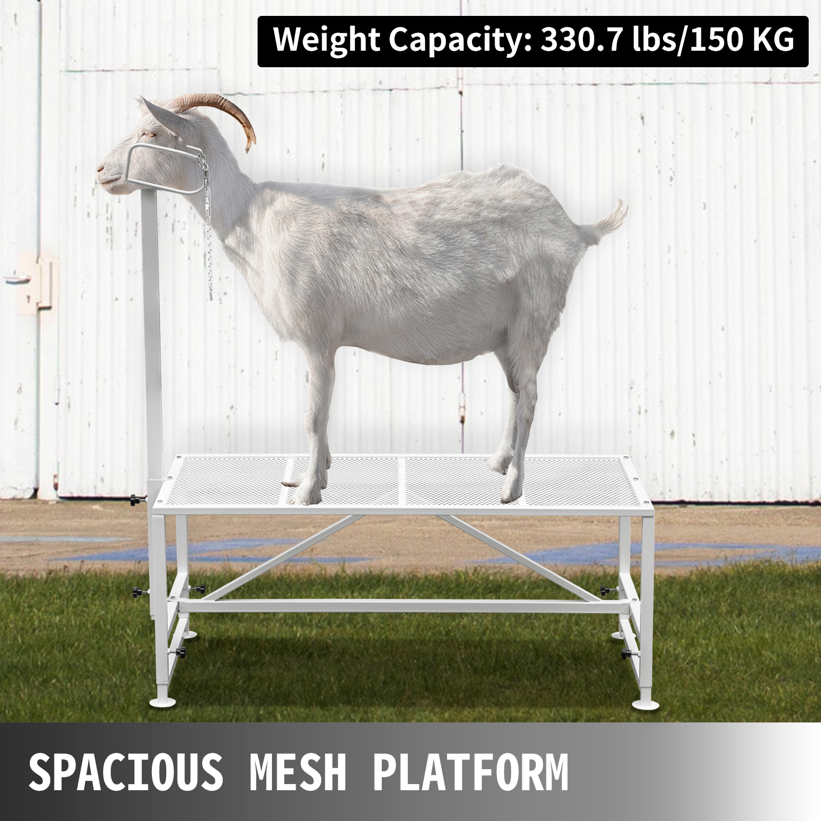 uz VEVOR mājlopu apgriešanas stenda ar 330 lbs/150 kg kravnesību.