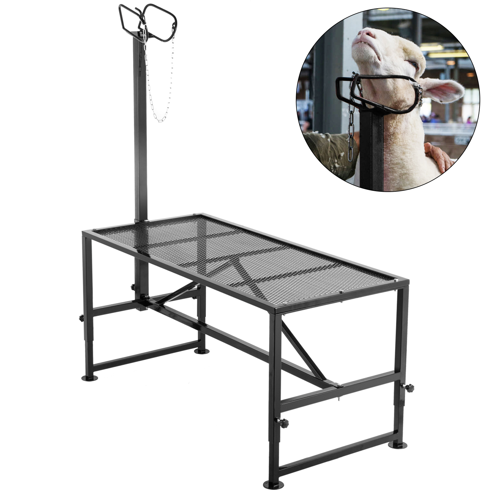 VEVOR livestock trimming stand with chain restraint and adjustable height platform