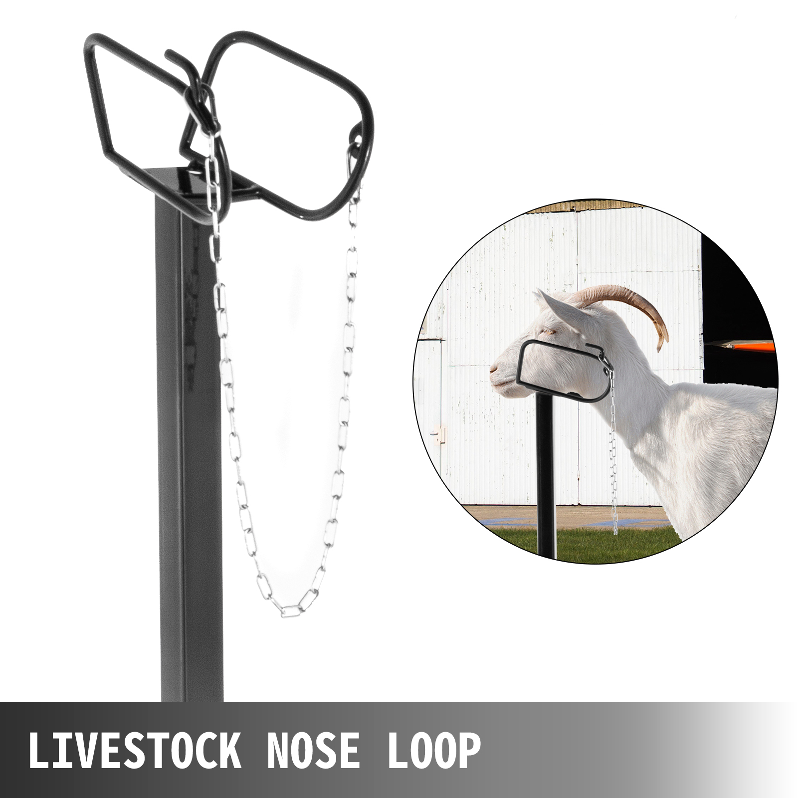 VEVOR livestock trimming stand with nose loop and chain for securing goat.