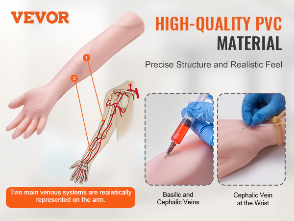 VEVOR phlebotomy practice kit with detailed vein structure, realistic pvc material, and practice points.