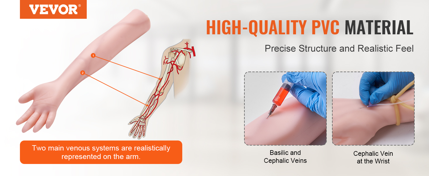 VEVOR phlebotomy practice kit with detailed vein structure, realistic pvc material, and practice points.