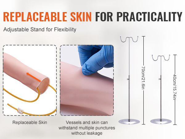 VEVOR phlebotomy practice kit with adjustable stand and replaceable skin for practical training.