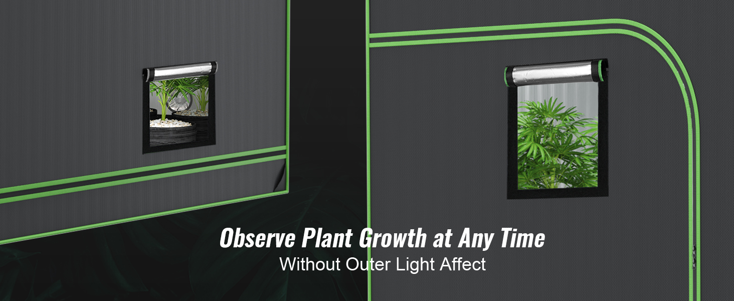 plants inside a VEVOR grow tent, visible through a side view window for easy monitoring.