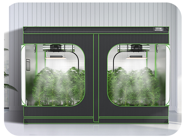 indoor setup with VEVOR grow tent, featuring lush plants and grow lights, placed in a modern room.