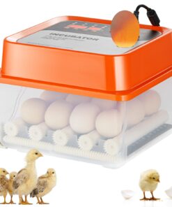 VEVOR Automatic Egg Incubator for 12 Eggs with 360° Air Circulation and Temperature Control