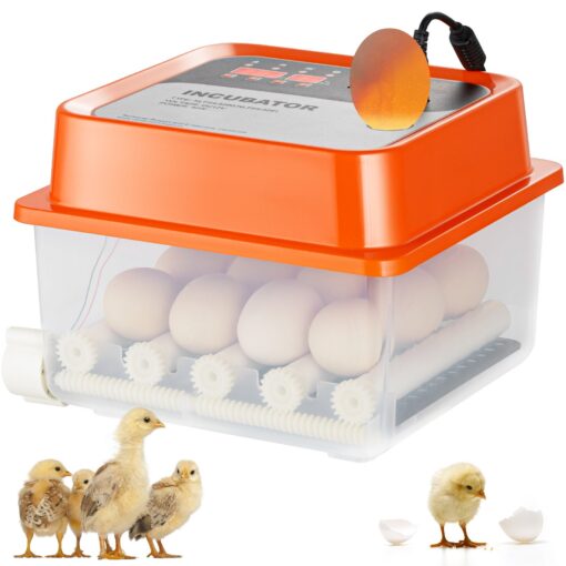 VEVOR Automatic Egg Incubator for 12 Eggs with 360° Air Circulation and Temperature Control