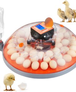 VEVOR 360° Air Circulation Egg Incubator with Automatic Egg Turning and Water Refilling for 48 Eggs