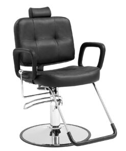 Salon Chair