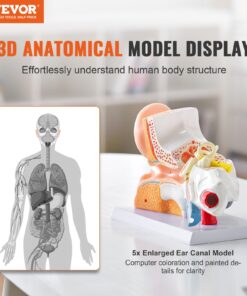 Увеличенный в 5 Раз