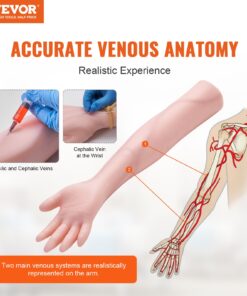 Realistic Phlebotomy Practice Arm - High Simulation PVC & Latex