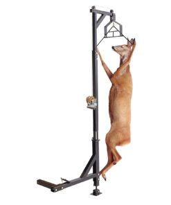 Mounted Deer Hoist