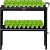 VEVOR 72 Site Hydroponic Growing System with Timer and 7W Pump