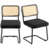 VEVOR Rattan Chairs Set of 2