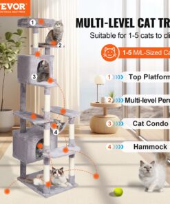 Сизалеві когтеточки