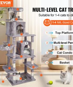 Сизалеві когтеточки