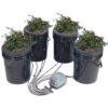 VEVOR 189L 5 Gallon DWC Hydroponics Grow System with Top Drip Irrigation and 4 Buckets   Durable and Corrosion Resistant