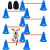 VEVOR Dog Agility Training Set