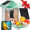 VEVOR Solar Powered Smart Bird Feeder with 2K HD Camera