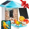 VEVOR Smart Bird Feeder with 2K Camera