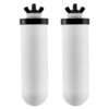 VEVOR Coconut Activated Carbon Water Filter Replacement for Gravity Filter System