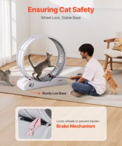 Large 80 cm (31.5 in) Indoor Running Treadmill