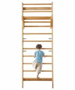 VEVOR 10-Level Swedish Ladder Wall Gym for Kids and Adults