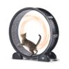 VEVOR Cat Exercise Wheel with Solar Powered Pedometer